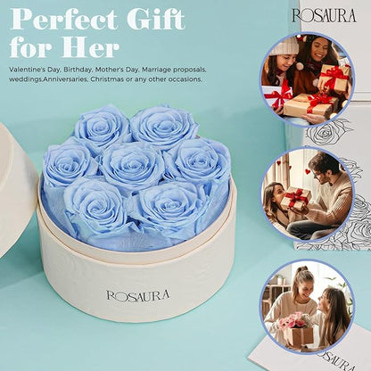 Rosaura Round Preserved Roses Gift Box - Real Forever Flowers for Birthday, Valentine's & Mother's Day (Sky Blue, 7 Roses)