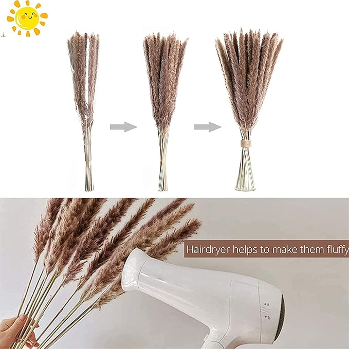 60 Pcs Pampas Grass ,17.7 inch/45cm Natural Dried Pampas Grass Branches Decor for Home Kitchen Garden Party Photographing Flower Arrangement Vase Decor (Natural)…