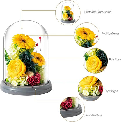 JoyFlower Preserved Sunflower Gifts for Women, Eternal Flowers Real Rose in Glass Dome, Forever Sunflowers Gift for Mom Wife Girlfriend, Unique Birthday Anniversary Graduation Sunflower Gifts for Her