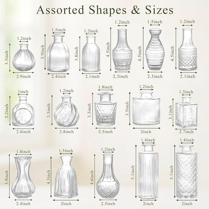 DomeStar 16PCS Glass Bud Vases Set, Small Small Flower Vase for Centerpieces, Vintage Clear Bud Vases in Bulk for Rustic Wedding Centerpieces Home Table Flower Decor