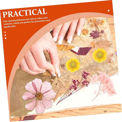 Natural Dried Flowers Material Bag for DIY Crafts Pressed Floral Bouquet Making Kit Romantic Handcraft Supplies for Greeting Cards Home Decoration and Wedding Embellishments