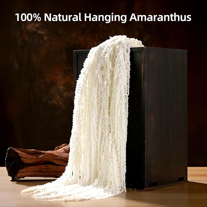 5Pcs Dried Amaranthus Hanging Flowers, Natural Preserved Flower for Wedding Arch, Exhibition, Wall Hanging Lover Tears, Floral Arrangement, Home Decor (White, 24")