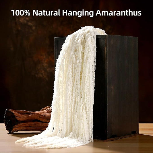 5Pcs Dried Amaranthus Hanging Flowers, Natural Preserved Flower for Wedding Arch, Exhibition, Wall Hanging Lover Tears, Floral Arrangement, Home Decor (White, 24")