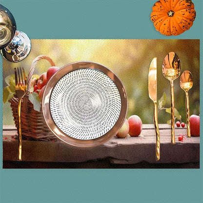 Apple Fall Fruit Basket Placemats Set of 4 PVC Vinyl Non Slip Table Mats Heat Resistant Place Mats Washable Wipeable Dining Table Mat for Kitchen Decor Party Indoor Outdoor Decorative Gift