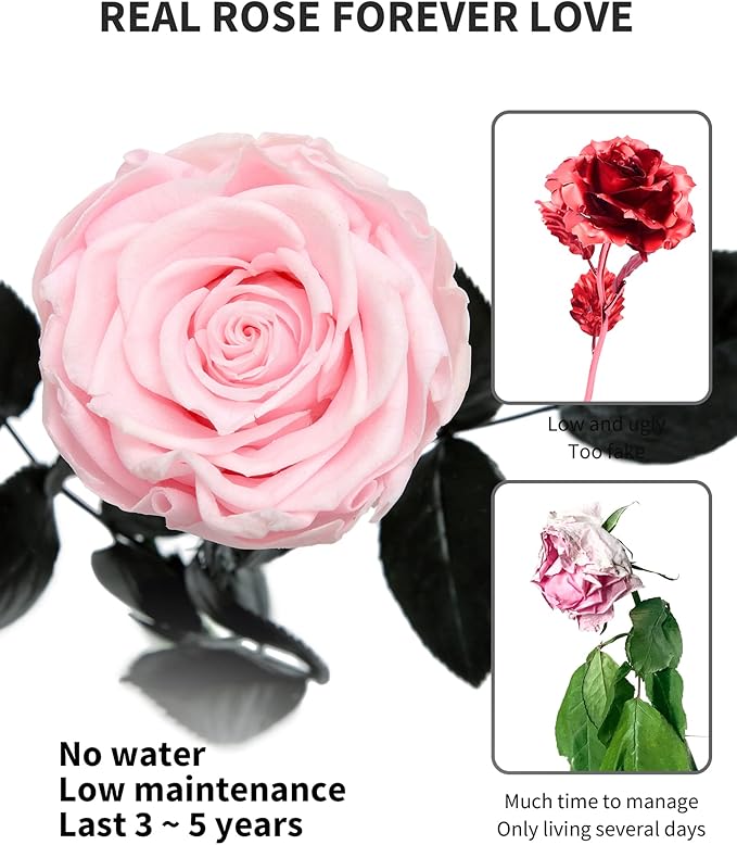 Pink Flowers for Delivery Prime, Preserved Pink Roses Flower Gifts for Women, Real Roses Single Rose Gifts for Her, Mom Birthday Gifts from Daughter, Valentines Flowers