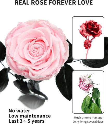 Pink Flowers for Delivery Prime, Preserved Pink Roses Flower Gifts for Women, Real Roses Single Rose Gifts for Her, Mom Birthday Gifts from Daughter, Valentines Flowers