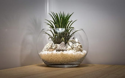 WGV Large Bowl Glass Vase, Diameter 9", Height 8", (Multiple Sizes Choices) Clear Round Bubble Vase Jar, Floral Planter Terrarium for Wedding Event Home Decor, 1 Piece (VBW1008)