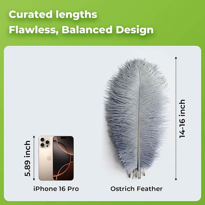 Piokio 10 pcs Natural Grey Ostrich Feathers 14-16 inch(35-40 cm) Bulk for Wedding Party Decoration Gatsby Decorations