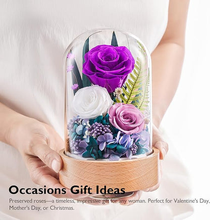 Eterfield Flowers for Delivery Prime, Christmas Preserved Roses Gifts for Women - Forever Flower in Glass Dome Birthday Gifts for Mom Wife Grandma Her Valentine’s Day (Purple, Cylindrical)