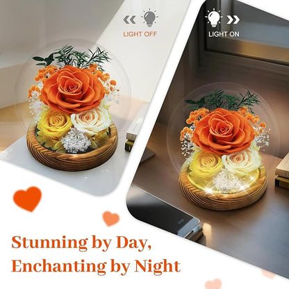 Preserved Rose Birthday Gifts for Women Preserved Flowers in Glass Dome Forever Fresh Flowers for Delivery Prime Red Eternal Rose Gifts for Her Valentines Day Anniversary for Wife Girlfriend