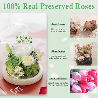 FIACO Preserved Rose Birthday Gift for Women Forever Fresh Flowers for Prime Delivery Gift for Mom Grandma Wife Valentines Mothers Day Christmas Anniversary Eternal Roses in Glass Dome
