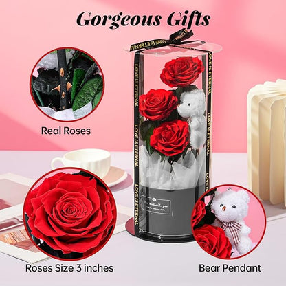 Flowers Forever Roses in A Box, 3 Real Roses with Stems and Bear, Eternal Rose Gifts for Her,Birthday Gifts for Women, Mom,Girlfriend,Grandma,Daughter,Red