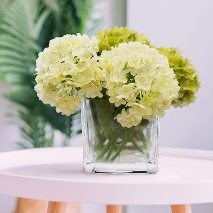 Set of 6 Square Glass Vases 4 x 4 Inch, Clear Cube Flower Vases with Sponge Brush, Candle Holders, Decorative Centerpieces for Home, Events or Weddings
