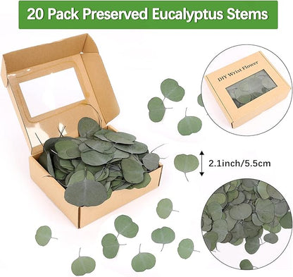 Real Eucalyptus Leaves for Shower 500PCS Green Dried Eucalyptus Leaves Bulk for Wedding Home Party Bridal Showers Baby Shower DIY Garland Cake Table Center Spring Decorations