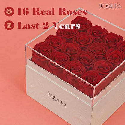 Rosaura Square Preserved Roses Gift Box - Real Forever Flowers in Clear Acrylic Lid, Valentine's for Women (red, 16 Roses)
