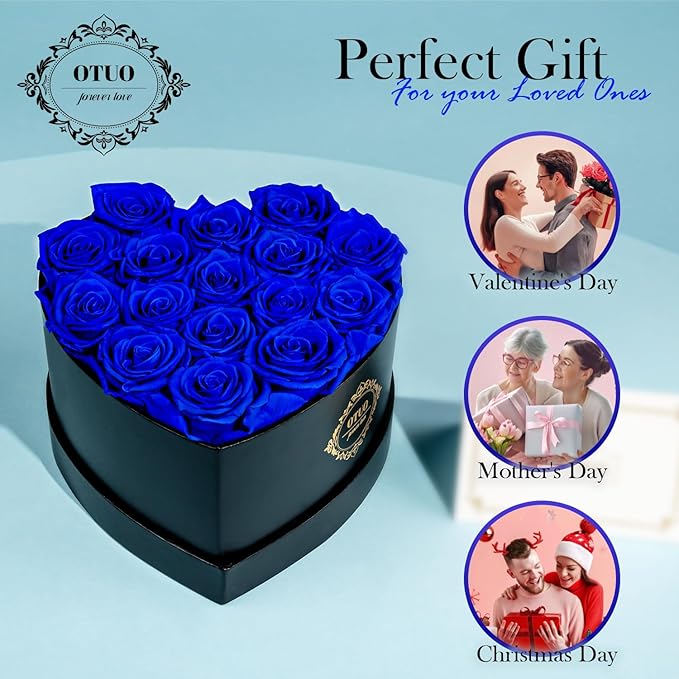 16 Preserved Roses in Heart-Shaped Box, Flowers for Delivery Prime Last up 2 Years, Real Forever Flowers for Wife, Girlfriend, Mother, Eternal Roses for Anniversary - Blue