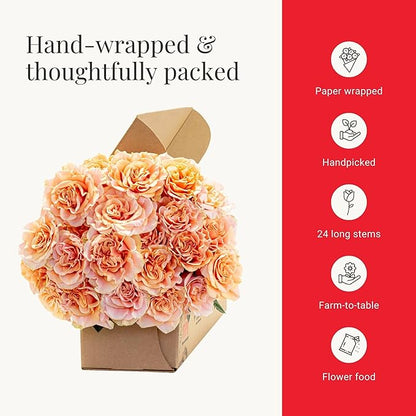 BloomsyBox- Peach Roses - 24 Long Stems, Long Lasting, Hand-Tied in Eco-friendly, Vase Not Included, Fresh Flowers for Delivery – Gift for Birthday, Anniversary, Get Well, Congratulations, Wedding