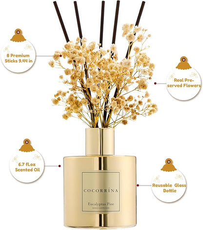 COCORRÍNA Reed Diffuser - Eucalyptus Pine Diffuser with 8 Sticks Home Fragrance Christmas Reed Diffuser for Bathroom Shelf Decor Home Decor