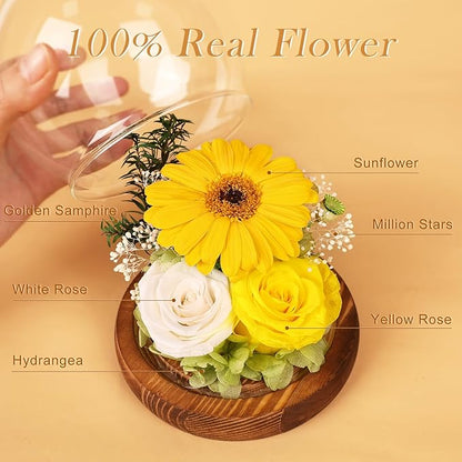 FIACO Sunflower Gifts for Women Preserved Forever Flower Rose in Glass Fresh Flowers for Delivery Mothers Day Birthday Gifts for Mom Grandma Sister Wife Yellow Sunflower Decor