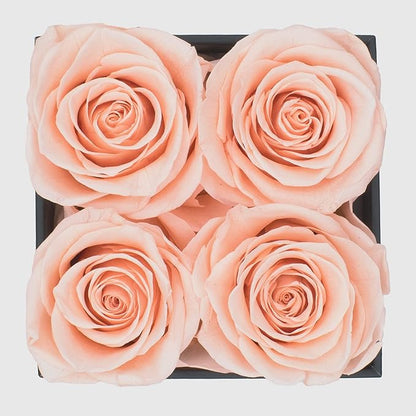 Graceful Fleurs | Real Long Lasting Roses for Years | Preserved Fresh Flowers for Delivery Birthday | Birthday Gifts for Women | Forever Roses in a Box (Light Peach, Black Box, 4 Roses)