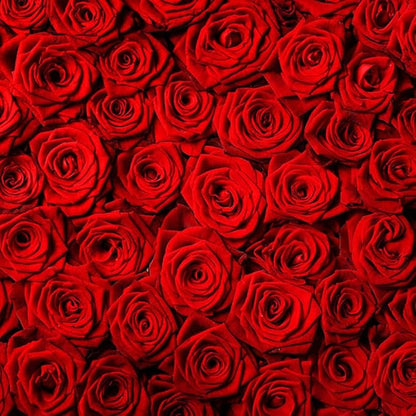 Avezano Valentine's Day Backdrop Rose Flower Wall Photo Background Red Rose Wedding Bridal Shower Photography Backdrop Mother's Day Birthday Party Dessert Table Banner (6x6ft)