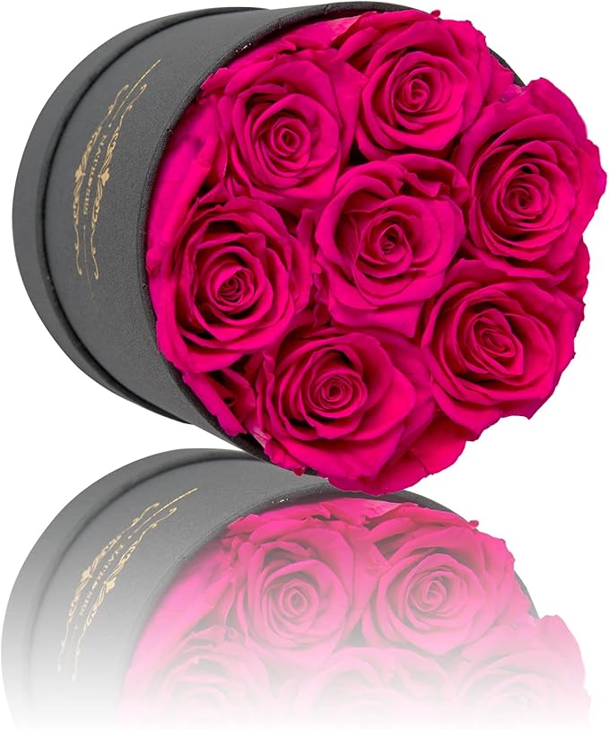 NATROSES 7 Piece Preserved Roses in a Box, Preserved Flowers for Birthday, Flower Gifts for Mothers Day (Hot Pink)