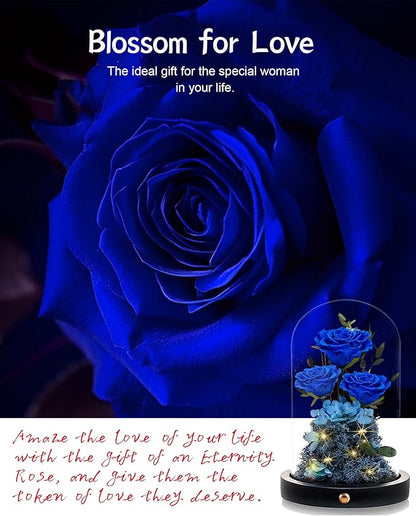 Christmas Flowers Roses Gifts for Mom,Forever Real Preserved Roses in Glass Dome,Christmas Anniversary Thanksgiving Gifts for Wife Girlfriend Women Best Friend Grandma/Blue Rose