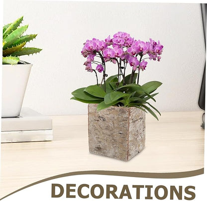 Birch Bark Succulent Planter Box Natural Wooden Flower Pot with Ventilation Vintage Rustic Vase for Home Office Patio Balcony Decor DIY Holiday Craft Container