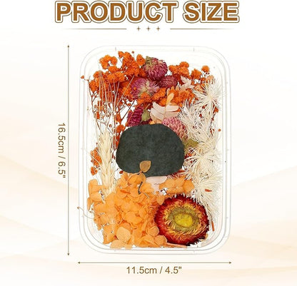 uxcell Natural Dried Flower Set, Dried Pressed Flowers Dry Leaves Bulk Natural Plants Kit Dried Flower Bouquets for Scrapbooking Crafts Resin Jewelry Candle (Orange)