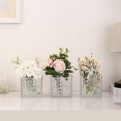 Square Vases Set of 6, 4" x 4" x 4" Square Glass Vases for Flowers, Clear Flower Vase for Centerpieces, Small Bubble Vase for Wedding, Party, Home, Office, Parties, Events