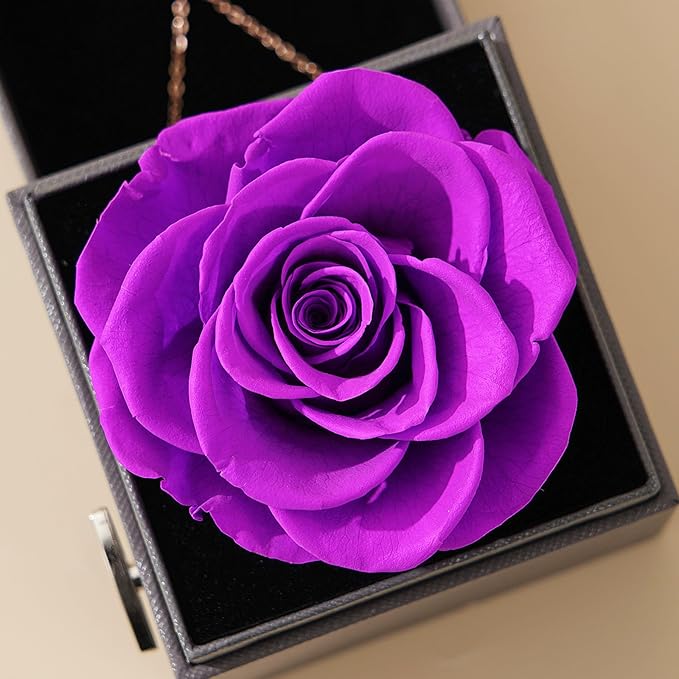 Romantic Rose Gifts for Her - Forever Preserved Rose with Silver Heart Pendant Necklace for Wife Girlfriend Mom | You Are My Sunshine Music Box for Women - Perfect on Valentines, Birthday, Anniversary