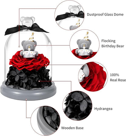 JoyFlower Preserved Flower Birthday Gift for Women, Red Preserved Rose Bear in Glass Birthday Gifts for Girlfriend, Eternal Flower Teddy Bear Gifts for Wife Mom Her Grandma Daughter Sister on Birthday