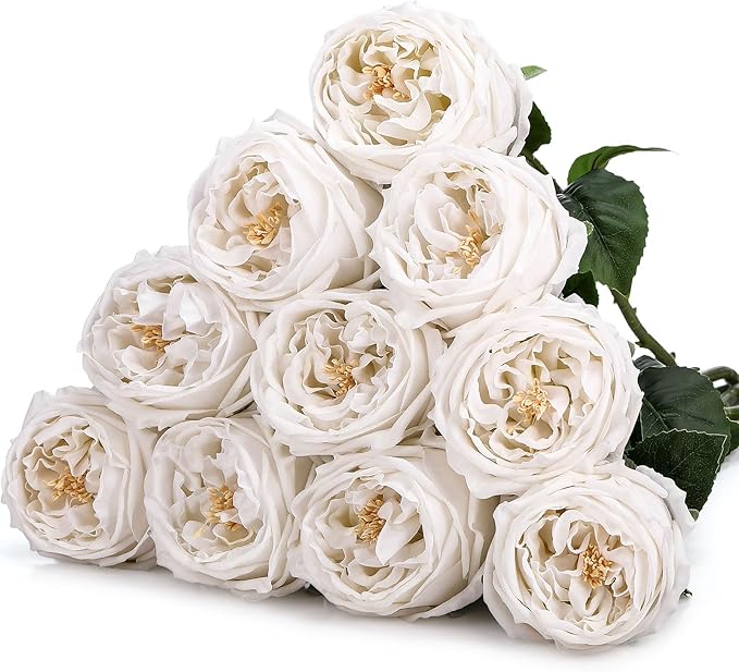 10pcs Real Touch Peonies Artificial Flowers, Faux Austin Rose with Long Stem Look Real Fake Flower for Christmas Valentines Arrangement Wedding Party Home Kitchen Decor(White)