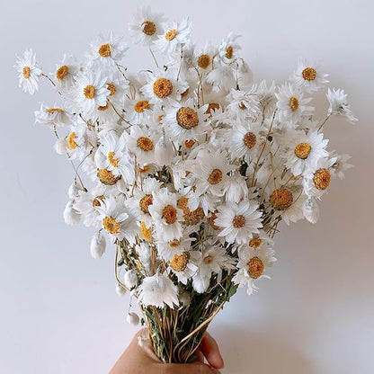 Dried Daisy Flowers Bouquet, 150+ Dry White Flowers, Artificial Sunflowers, 17'' Natural Gerber Daisies Arrangements for Farmhouse Vase Decor, Wedding, DIY Home Office Party Decoration