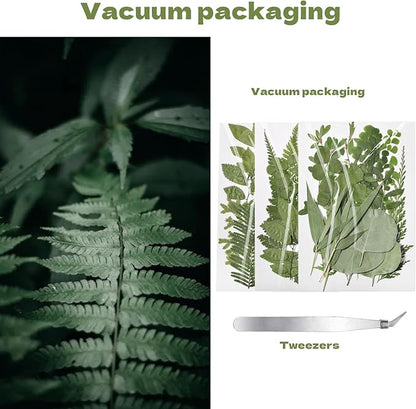 CONVELIFE 63 Pcs Dried Flowers for Resin, 21 Styles Pressed Leaves , Natural Dry Leaves for Pressed Leaf Art Craft DIY Embellishment Decorations