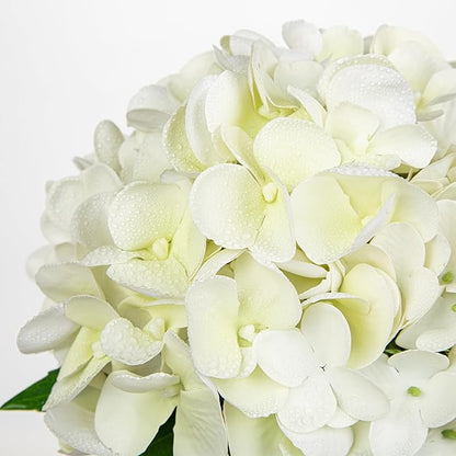 Hollyone Real Touch White Hydrangea Artificial Flowers in Vase Latex Small Faux Hydrangea Flowers Arrangements Hydrangeas Fake Flower with Glass Vase with Faux Water for Table Centerpiece Home Decor