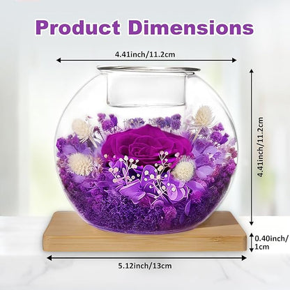 DEEMEI Gifts for Women Christmas Birthday Gifts for Women Preserved Real Rose in Glass Dome with Scented Fresh Flowers for Delivery Prime Eternal for Her Mom Grandma Wife Girlfriend Sister, Purple