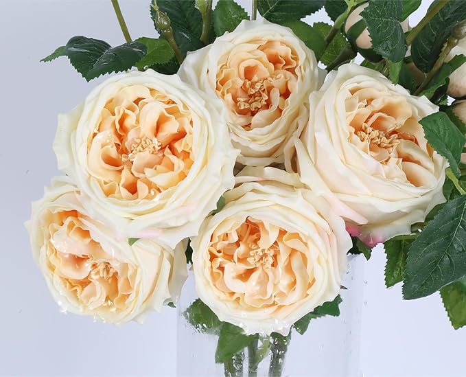 Real Touch Austin Roses Peonies Artificial Flowers 4 Bouquets Latex Fake Peonies with Long Stem Realistic Faux Peonies Flower for Wedding Party Home Table Centerpieces Decorations (Champagne)
