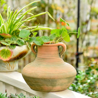 Sungmor Rustic Ceramic Flower Vase with Handles, Decorative Pottery Vase 7 Inch Terracotta Plant Pots, Cement Textured Vases Home Decor, Indoor Fresh Flowers Planter, Dried Flower Arrangements
