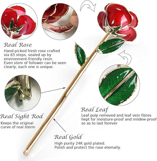 Sinvitron Gold Dipped Infinity Rose Forever Flower Decor, Resin Preserved Real Rose Birthday Gift for Women, Anniversary Present for Mom (Red)