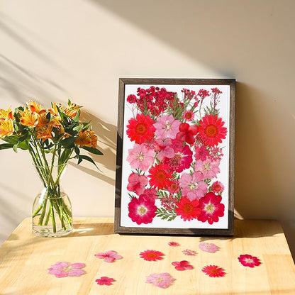 37Pcs Red Dried Pressed Flowers Natural Dried Flowers for Resin,Real Pressed Flowers for Crafts,Dry Flowers for Resin Molds DIY Scrapbookin Candle Jewellery Making