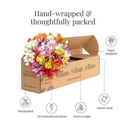 24 Multicolored Alstroemeria Bouquet Flowers, Long Lasting & Hand-Tied, Farm Fresh Cut Flowers Bouquet - Gift for Birthday, Anniversary, Wedding | No Vase.