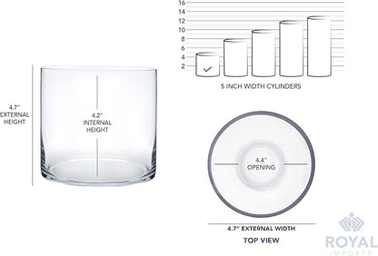 Royal Imports Flower Glass Vase Decorative Centerpiece for Home or Wedding - Cylinder Shape, 5"x5", Clear