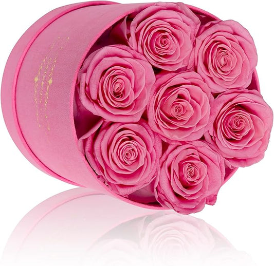 NATROSES 7 Piece Preserved Roses in a Box, Preserved Flowers for Birthday, Flower Gifts for Mothers Day (Pink)