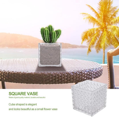 Angoily Transparent Square Glass Flowerpot Cube Shape Hydroponic Vase for Home Office Decoration Elegant Small Planter Pot Pure Material Easy to Clean