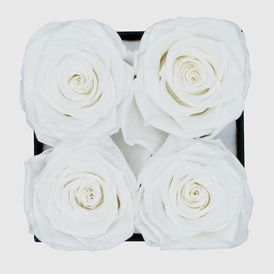 Graceful Fleurs | Real Long Lasting Roses for Years | Preserved Fresh Flowers for Delivery Birthday | Birthday Gifts for Women | Forever Roses in a Box (White, Black Box, 4 Roses)