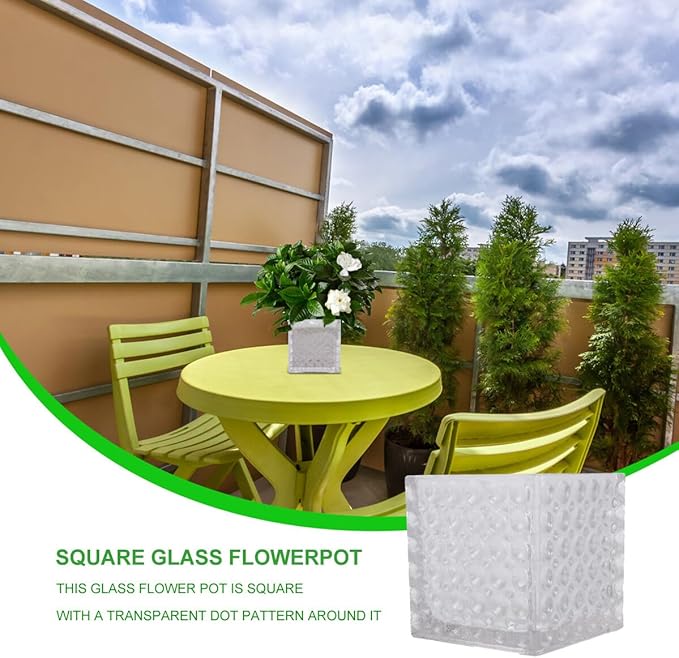 Angoily Transparent Square Glass Flowerpot Cube Shape Hydroponic Vase for Home Office Decoration Elegant Small Planter Pot Pure Material Easy to Clean