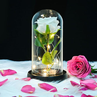QUELIEN White Roses in Glass Dome,Eternal Rose Gift for Women,Lasts Forever Home Decor,Mother's Day Christmas (White)