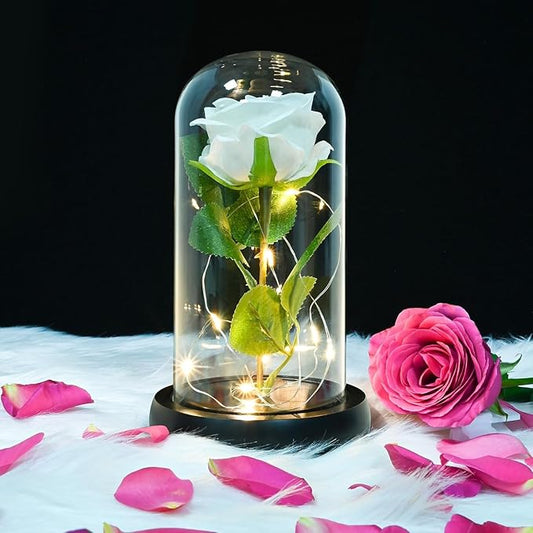 QUELIEN White Roses in Glass Dome,Eternal Rose Gift for Women,Lasts Forever Home Decor,Mother's Day Christmas (White)