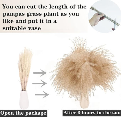 Natural Dried Pampas Grass Decor, White Pampas Grass， Bunny Tails Dried Flowers, Reed Grass Bouquet for Wedding Boho Flowers Home Table Decor, Rustic Farmhouse Party (100 in Total )